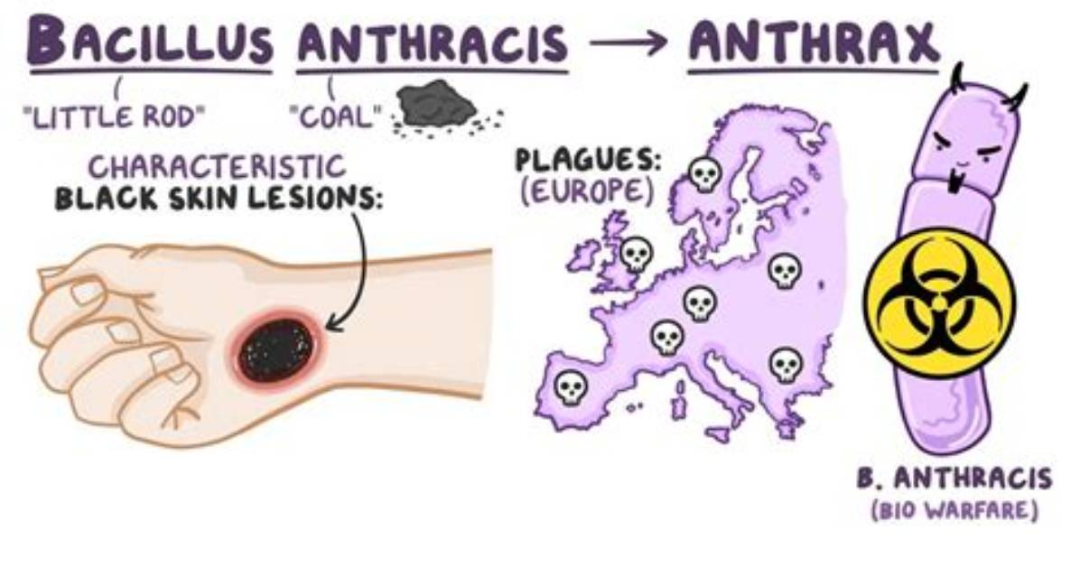 What Anthrax Mean