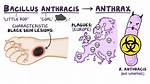 What Anthrax Mean