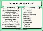 What Are Attributes