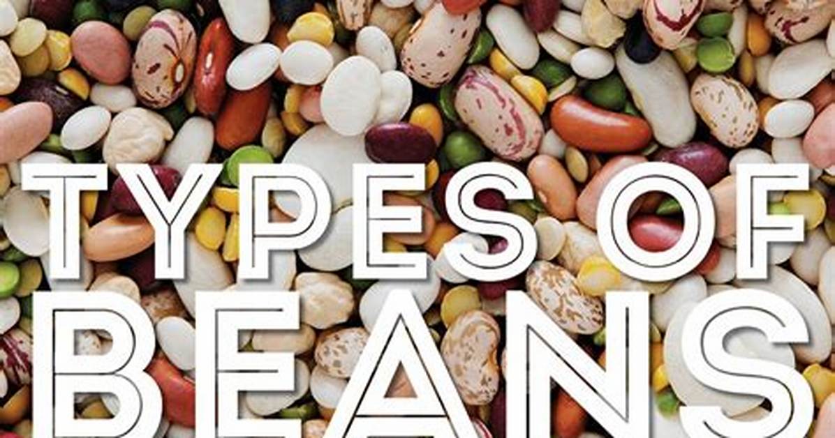 What Are Beans