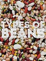 What Are Beans