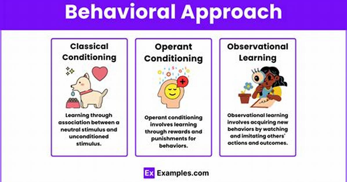 What Are Behavioral Examples?