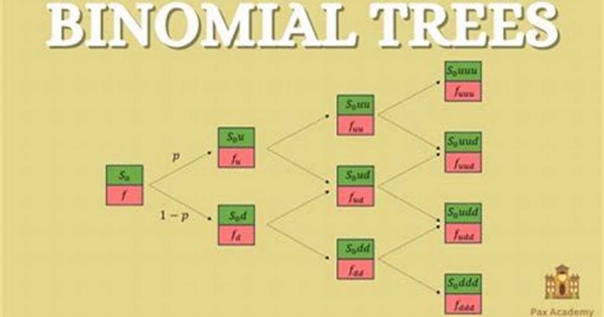 What Are Binomial Trees? | Contextresponse. Com