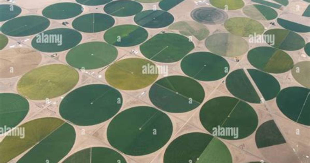What Are Circular Fields?