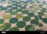 What Are Circular Fields?