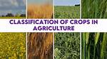 What Are Crops