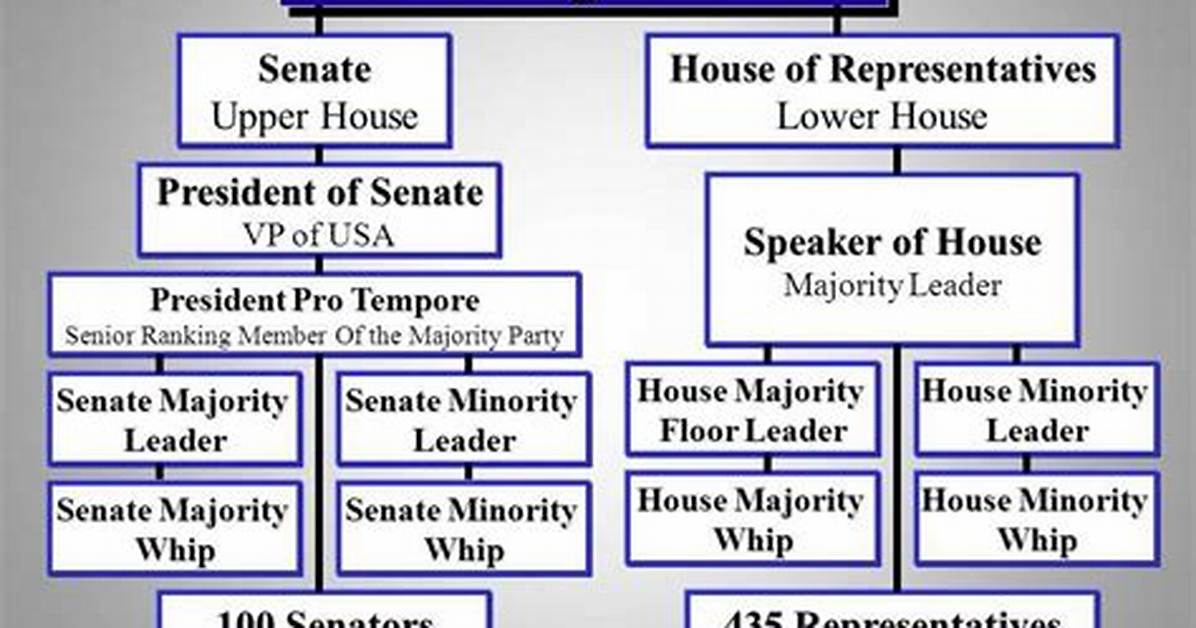 What Are Elected Representative Functions?