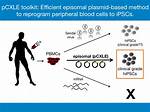 What Are Episomal Reprogramming?