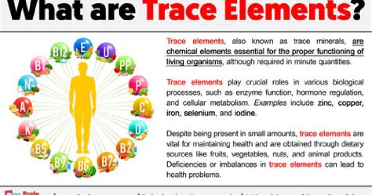 What Are Essential and Trace Elements