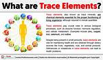 What Are Essential and Trace Elements