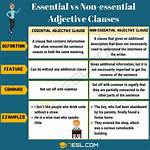 What Are Essential Examples