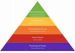 What Are Ethological Needs?