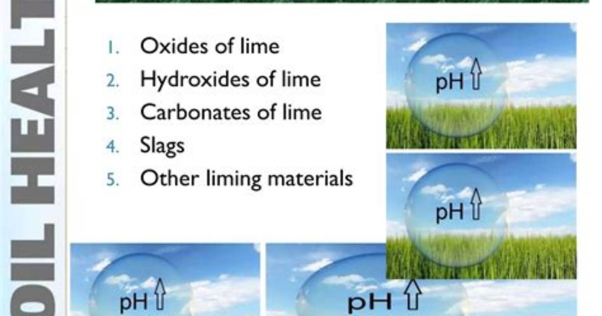 What Are Liming Elements