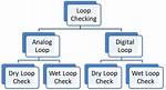 What Are Loop Checks