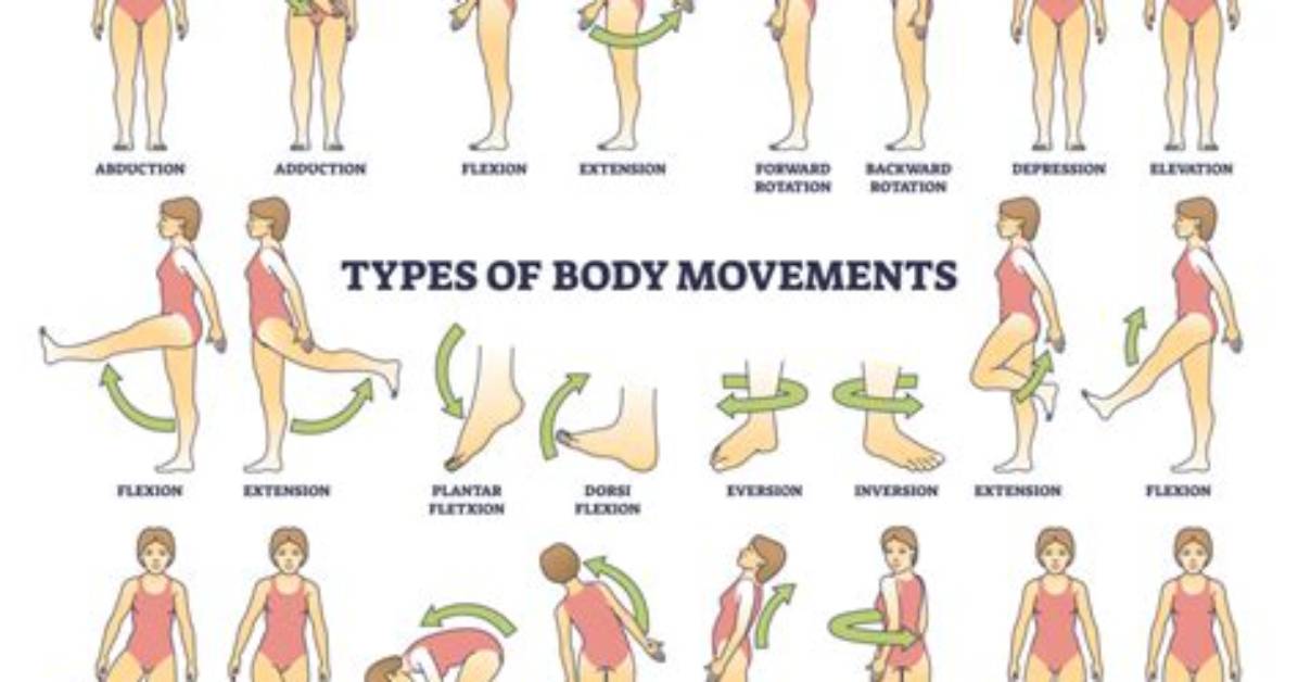 What Are Movement Groups
