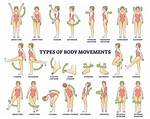What Are Movement Groups