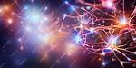 What Are Neural Structures