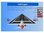 What Are Papi Lights?