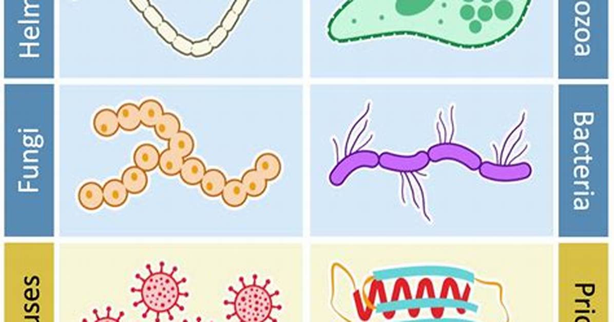 What Are Pathogens