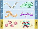 What Are Pathogens