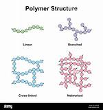What Are Polymers