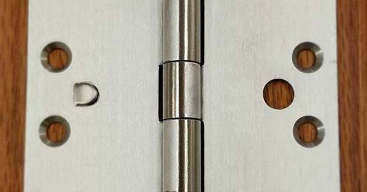 What Are Security Hinges