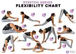 What Are Some Good Basic Flexibility Exercises