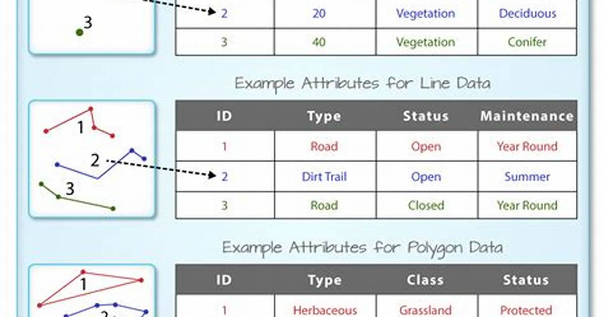 What Are Spatial Attributes