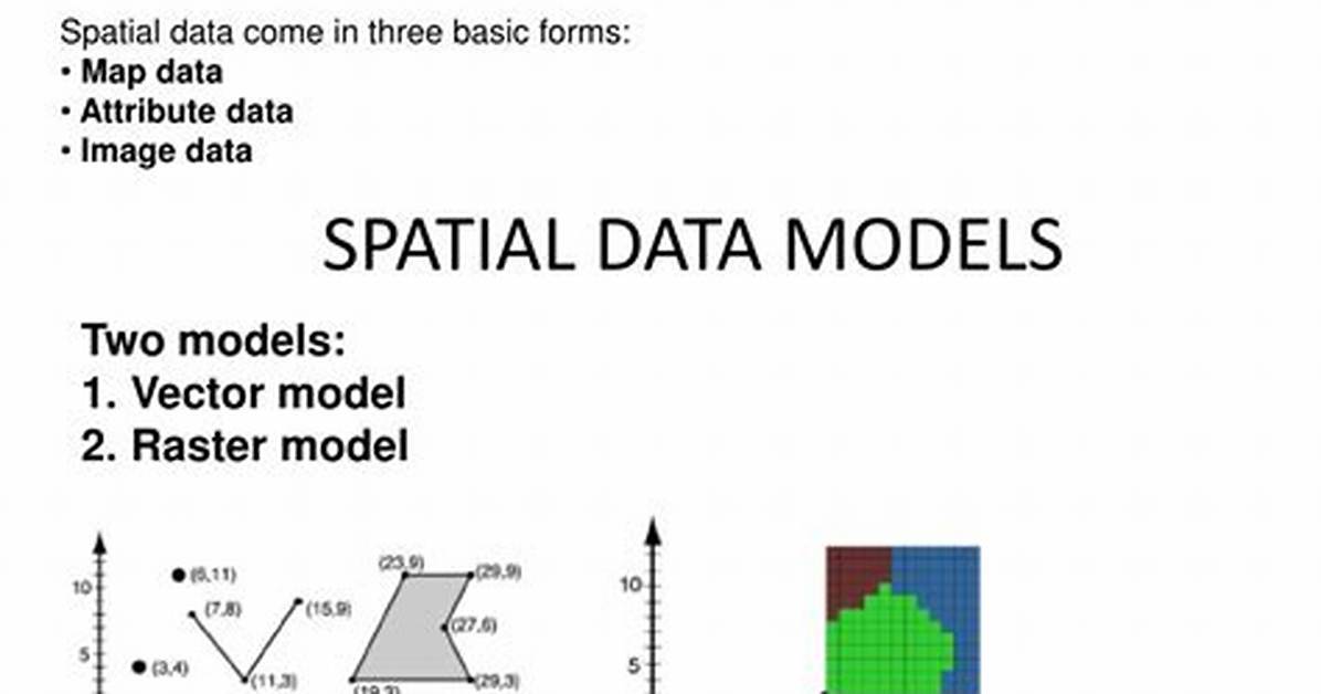 What Are Spatial Data Type