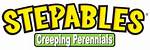 What Are Stepables