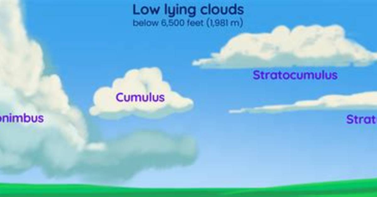 What Are the 3 Basic Clouds