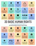 What Are the 3 Basic Rights