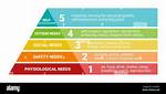 What Are the 5 Basic Human Needs? Check This out | Needs of an Individual
