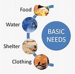 What Are the Five Basic Needs of Customers