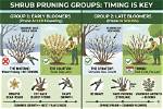 What Are the Pruning Groups