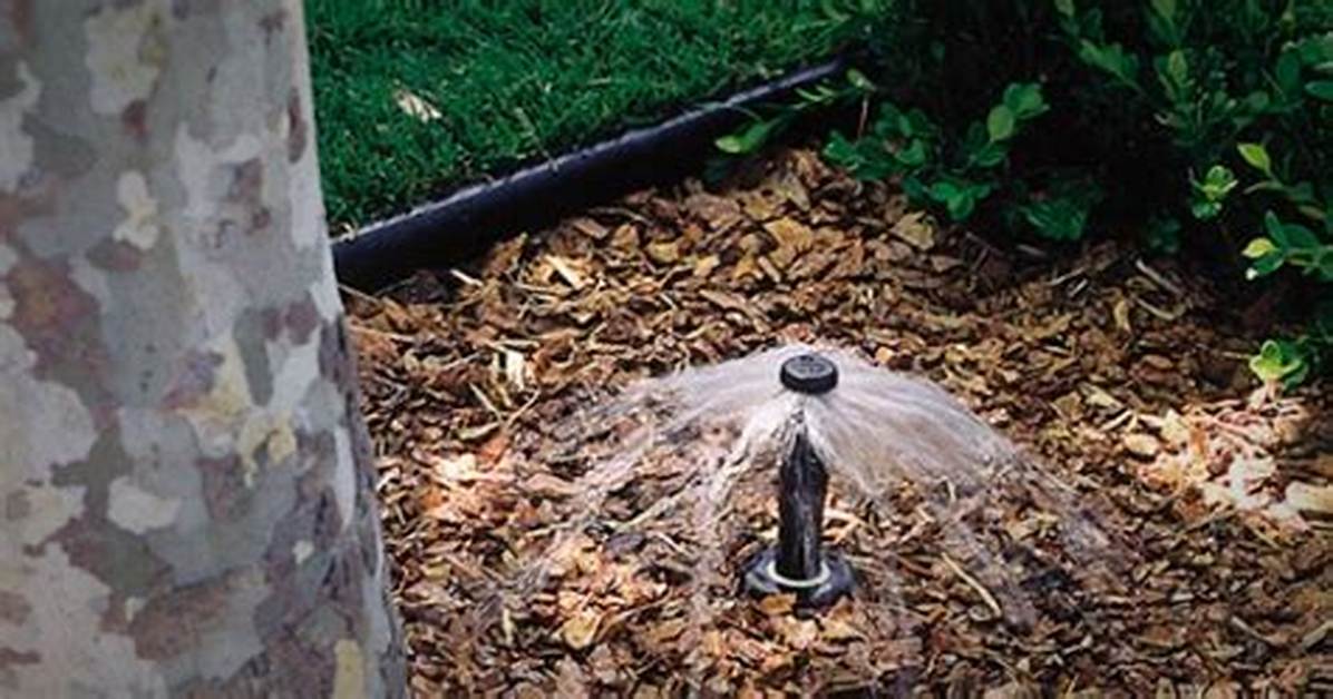 What Are Tree Bubblers
