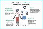 What Are Two Physical Differences Between the Cow Eye and the Human Eye?