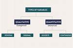 What Are Variables