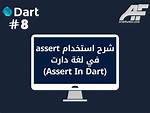 What Assert Do in Dart?