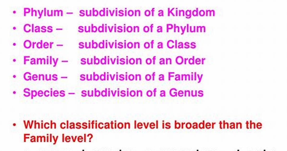 What Broadest Classification Level?
