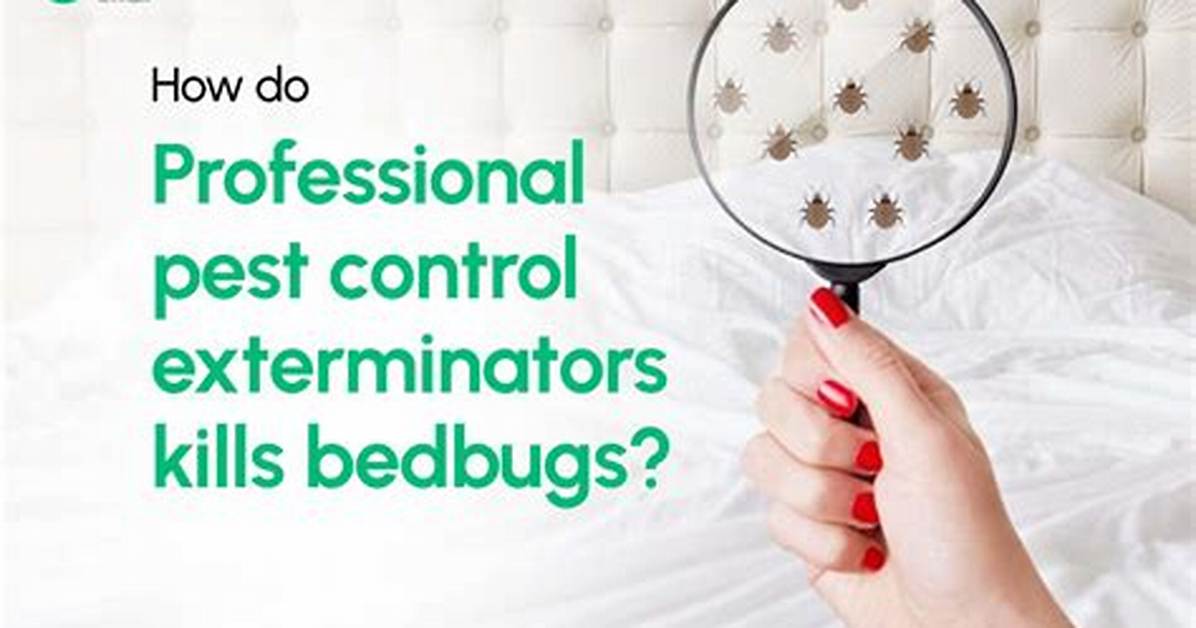 What Bugs Do Exterminators Kill?