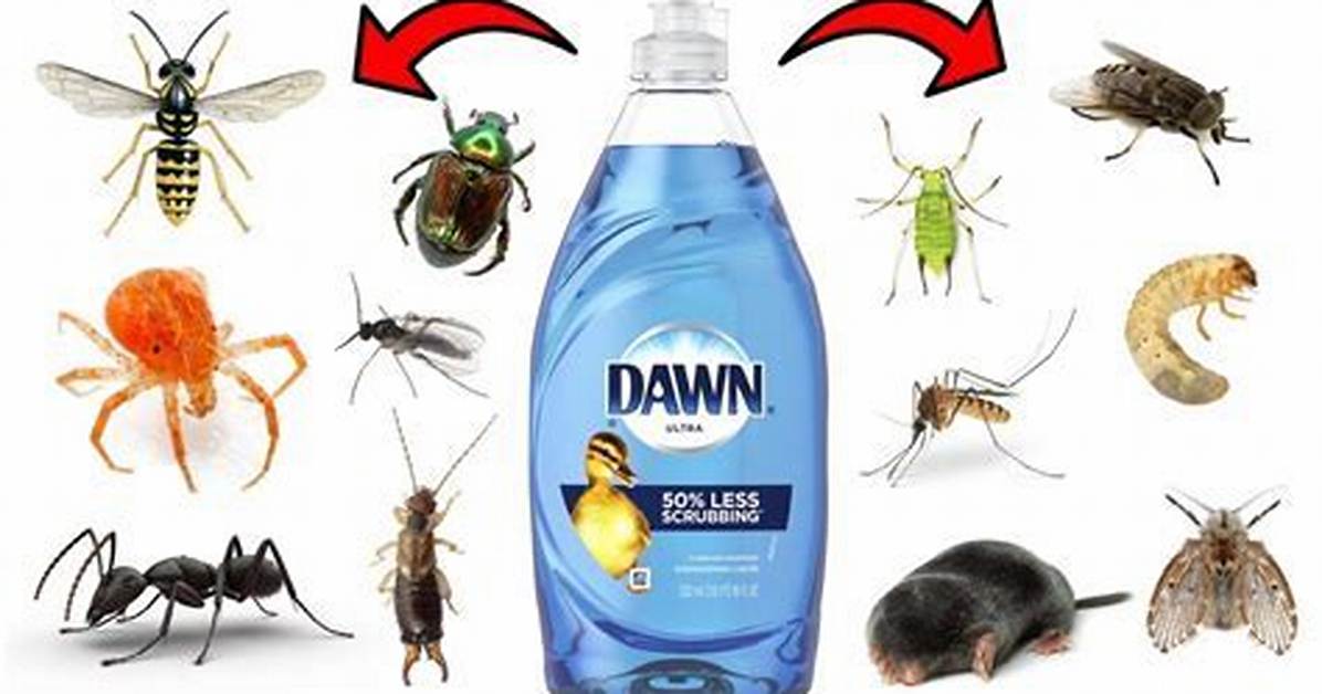 What Bugs Will Dawn Kill