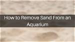 What Can Remove Sand