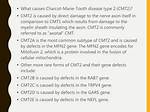 What Causes Cmt2