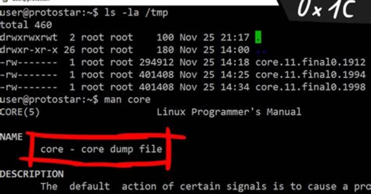 What Causes Core Dump in Linux?