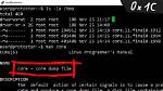 What Causes Core Dump in Linux?