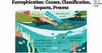 What Causes Eutrophication