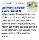 What Causes Urochrome? | Contextresponse. Com