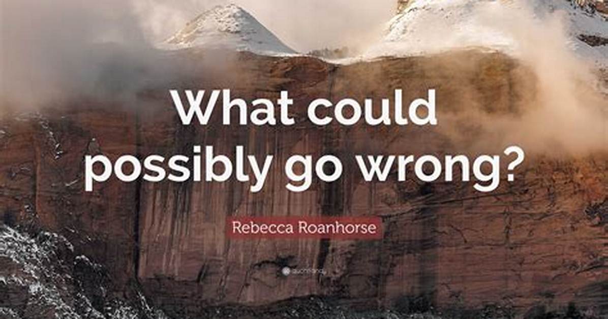 What Could Possibly Go Wrong?