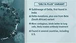 What Delta Plus Variant?